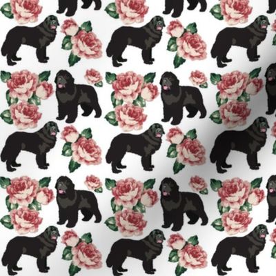 small print //Newfoundland Dogs and Old English Roses Pink Big Black Dog Puppy