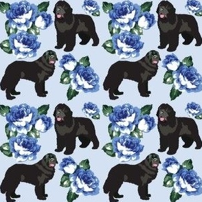 small print //Newfoundland Dogs and Old English Roses Blue Big Black Dog Puppy
