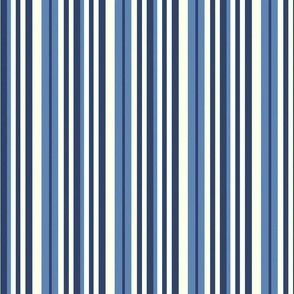 Stripes | Blue & White (School Spirit Collection)