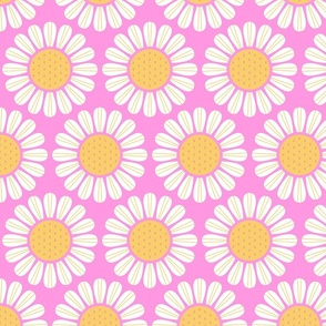 Retro White Daisies on a pink background
