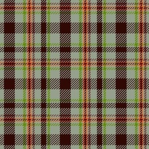 Autumn Plaid Twill III