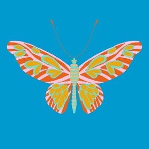 Colorful Butterfly with  Blue Background