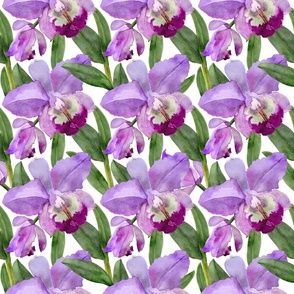 Watercolor Purple Orchids