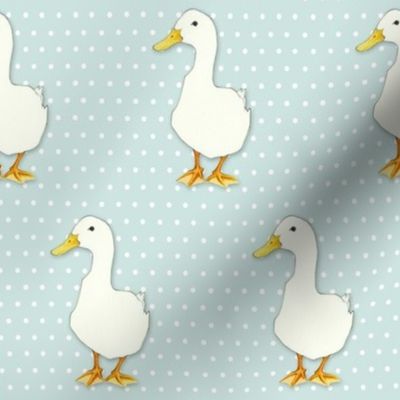 Duck Cool on white dots