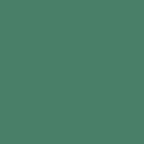 Solid conifer green / plain color