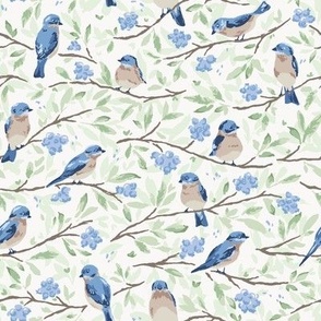 Bluebird [small]