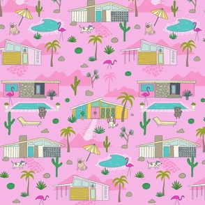 Palm Springs mid century houses pink medium