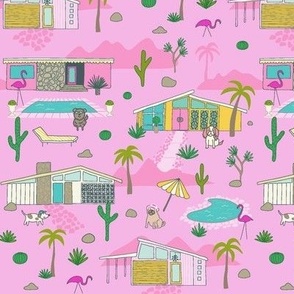 (S)  Palm Springs mid century houses  pink 