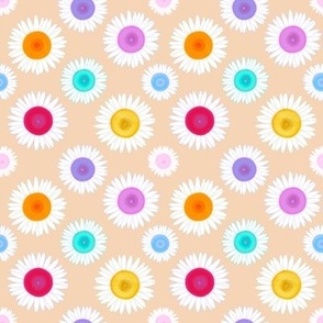 Rainbow daisies on pale orange