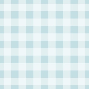 updated! 1 1/2 in - Gingham check white on light blue