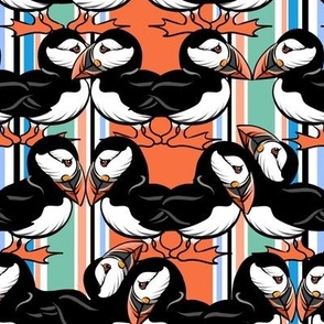 Cuddlin Puffins -  On Colorful Stripes - Small