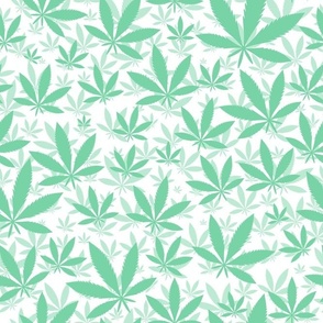 Bigger Scale Marijuana Cannabis Leaves Jade Green on White