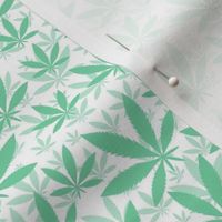 Smaller Scale Marijuana Cannabis Leaves Jade Green on White