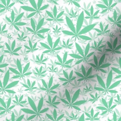 Smaller Scale Marijuana Cannabis Leaves Jade Green on White