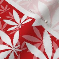 Bigger Scale Marijuana Cannabis Leaves White on Poppy Red
