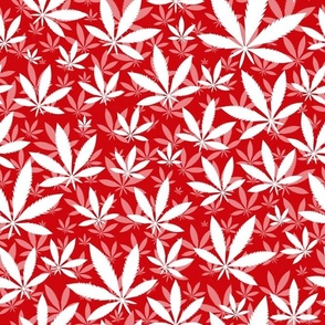 Bigger Scale Marijuana Cannabis Leaves White on Poppy Red