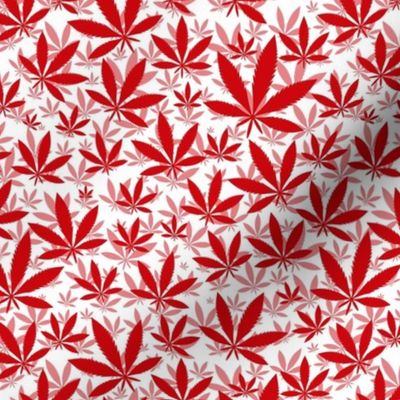 Smaller Scale Marijuana Cannabis Leaves Poppy Red on White