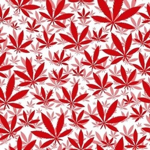 Smaller Scale Marijuana Cannabis Leaves Poppy Red on White