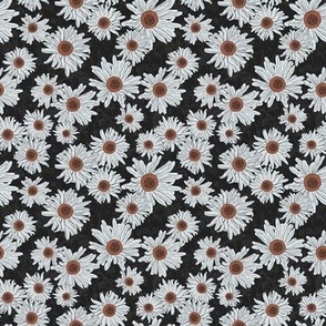 Small Just Daisies on Charcoal 4" repeat