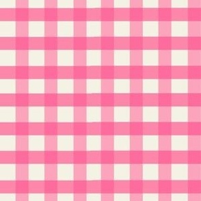 Gingham Checks in Pink