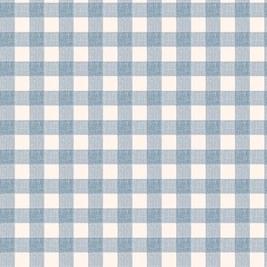 DUSTY BLUE LINEN TEXTURE GINGHAM _1in small