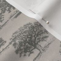 Trees on Antique Paper (Small Scale)