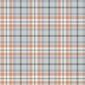 Plaid #1 - Coral and Blue (Small Scale)
