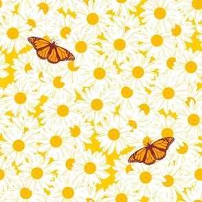 Monarch butterfly fields. Large scale