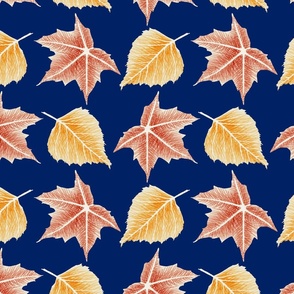Birch and maple leaves on blue