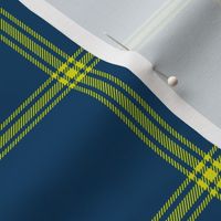 ticking stripe plaid  - chartreuse on navy, 3" check