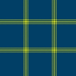 ticking stripe plaid  - chartreuse on navy, 3" check