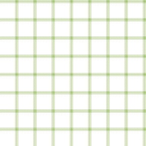 ticking stripe plaid  - green on white, 1" check