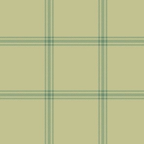 ticking stripe plaid - pistachio green, 3"