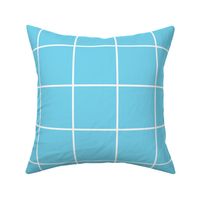 4in Grid Light Blue and White