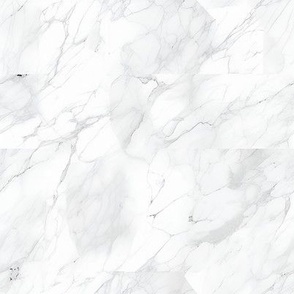 White & Light Gray Marble