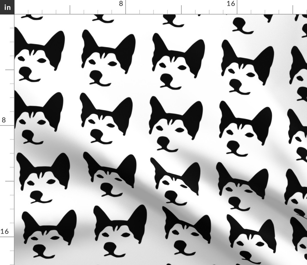 husky small in a row