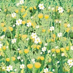 field of flowers dasies and dandilions Angela Broadbent 