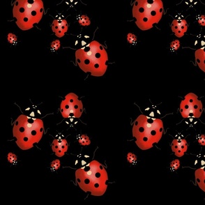 Red ladybugs on black background.jpeg