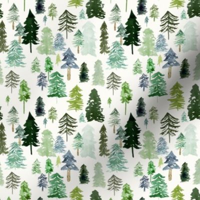 Small / Pine Forest