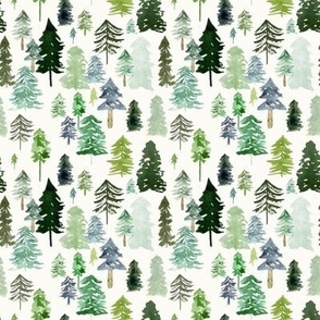 Small / Pine Forest