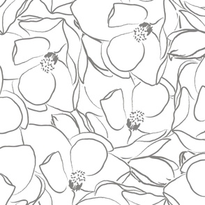 magnolia-cluster-white