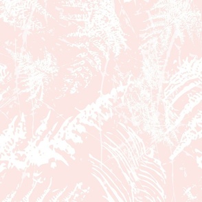 Pink and White Neutrals,  Forest Ferns, Coastal Minimalist Nature