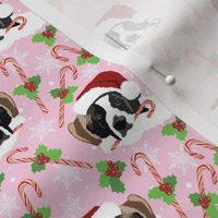 small print // St bernard dog christmas with candy canes and snowflakes