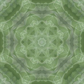 Green Hues Mandala Abstract