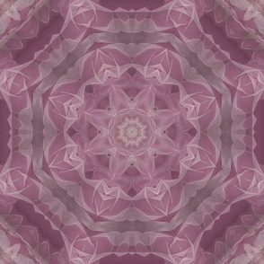Rose Pink Mandala Abstract