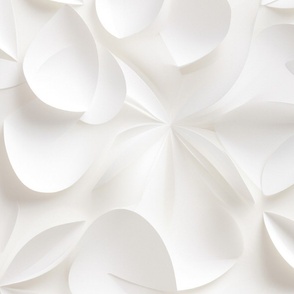 Paper Floral Geometry