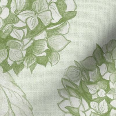 Layered Hydrangea flowers climbing in soft monochromatic green rococo