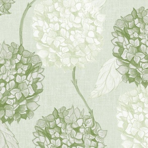 Layered Hydrangea flowers climbing in soft monochromatic green rococo