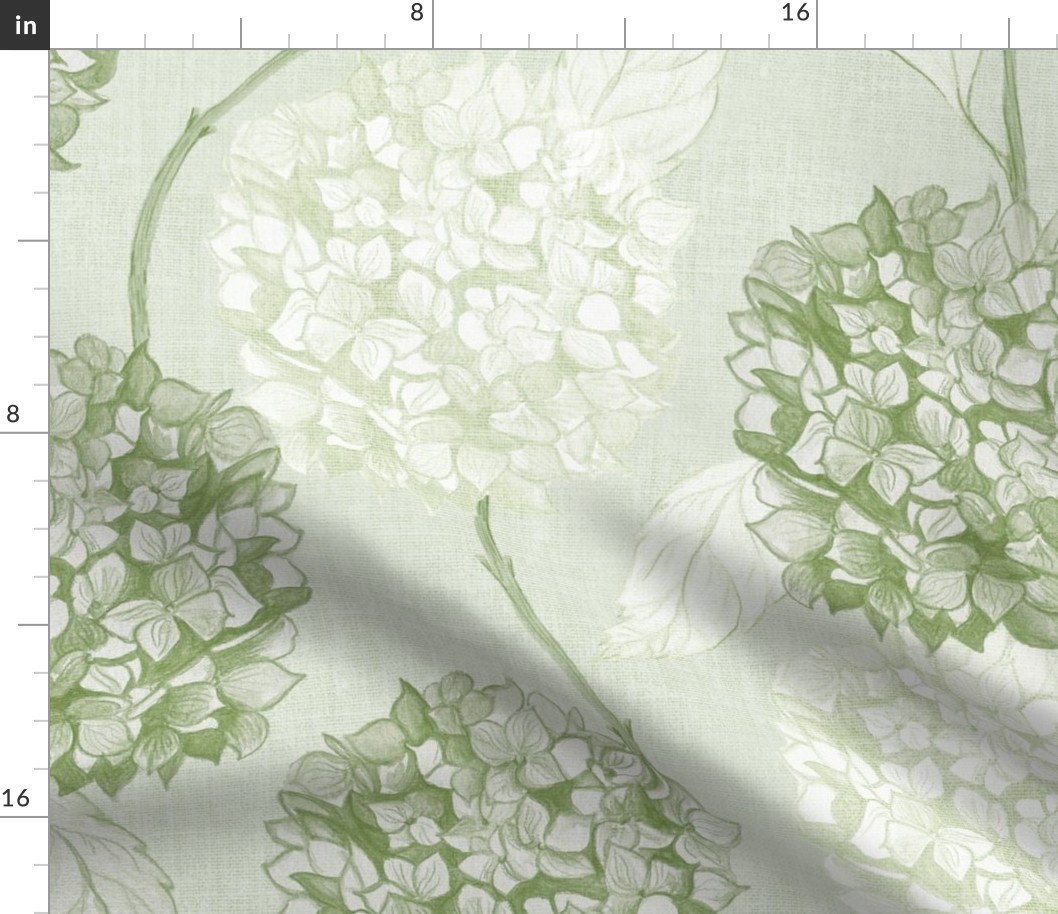 Layered Hydrangea flowers climbing in soft monochromatic green rococo