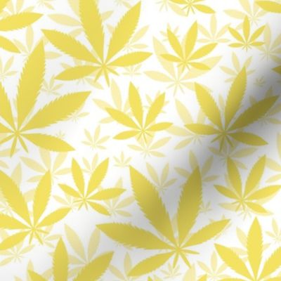 Bigger Scale Marijuana Cannabis Leaves Buttercup Yellow on White